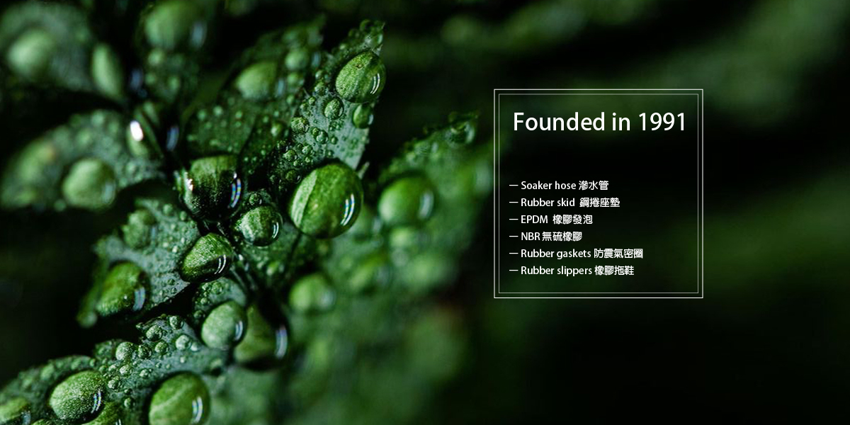 First slide